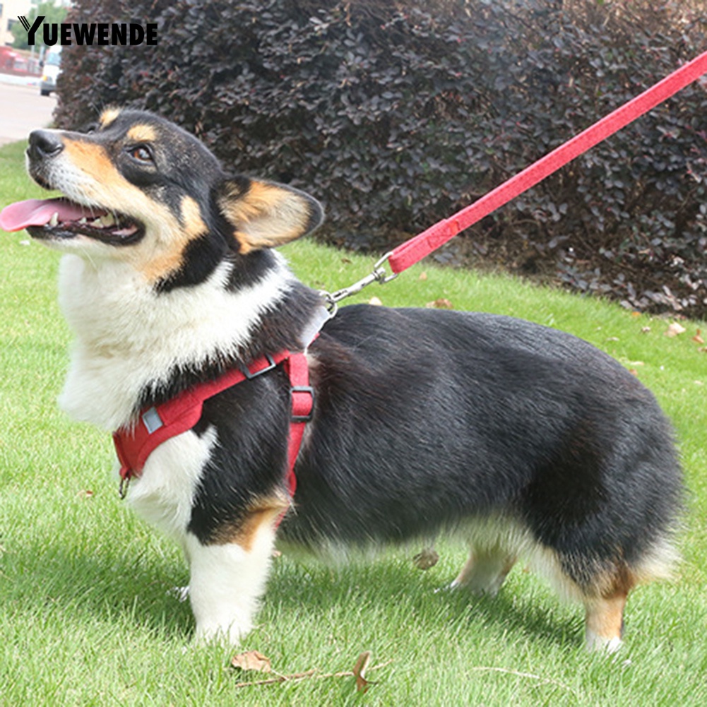 Dây Thắt An Toàn Tùy Chỉnh Cho Thú Cưng