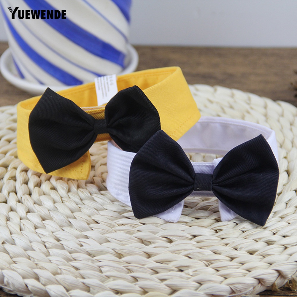 Vòng Cổ Có Thể Điều Chỉnh Cho Thú Cưng