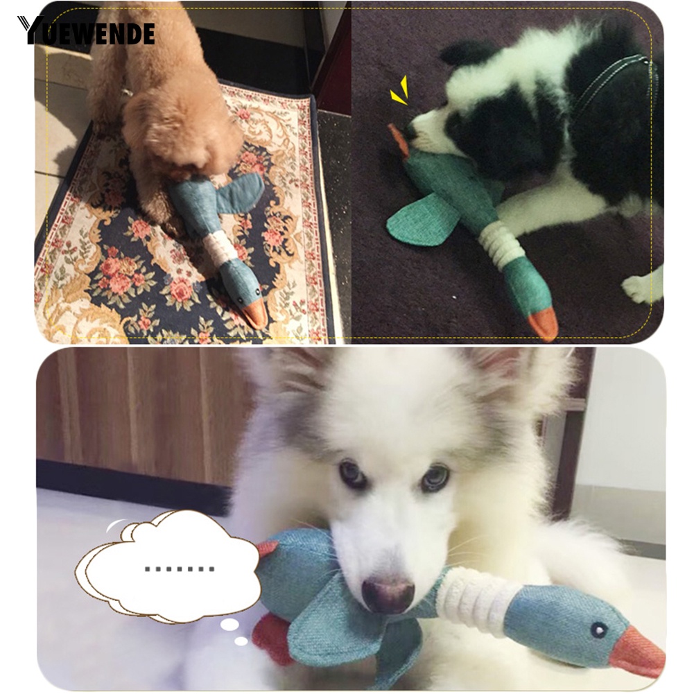 Đồ chơi nhai cắn cho thú cưng vui nhộn hình chú ngỗng có âm thanh dễ thương