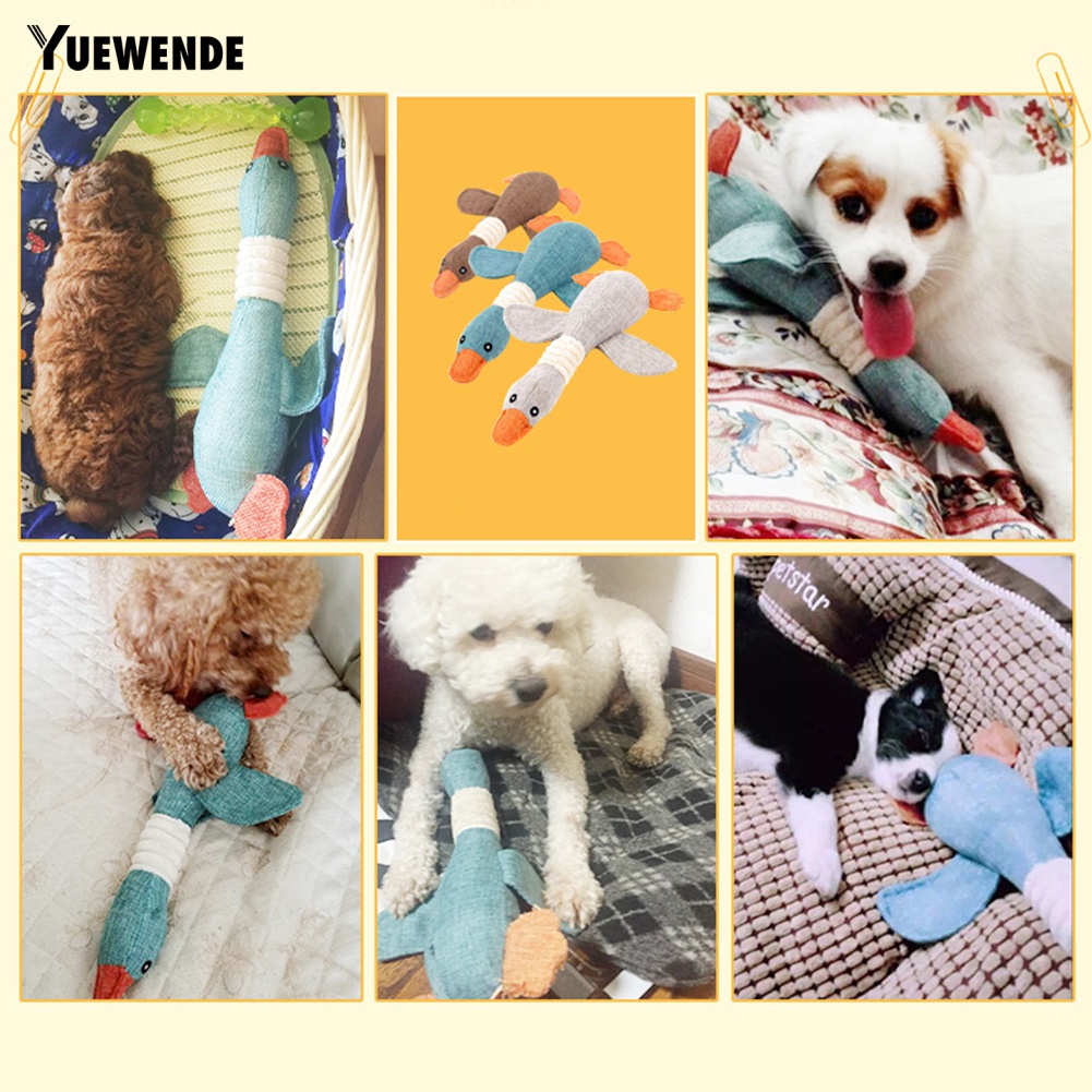 Đồ chơi nhai cắn cho thú cưng vui nhộn hình chú ngỗng có âm thanh dễ thương