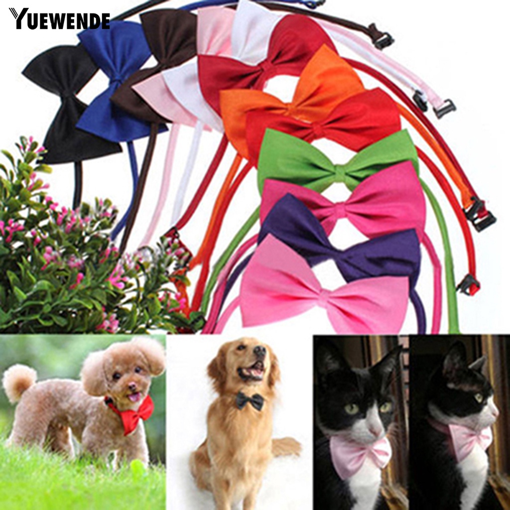 Vòng cổ thắt nơ xinh xắn cho thú cưng