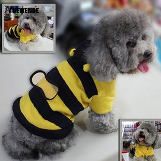 Trang phục kiểu dáng chú ong đáng yêu cho thú cưng