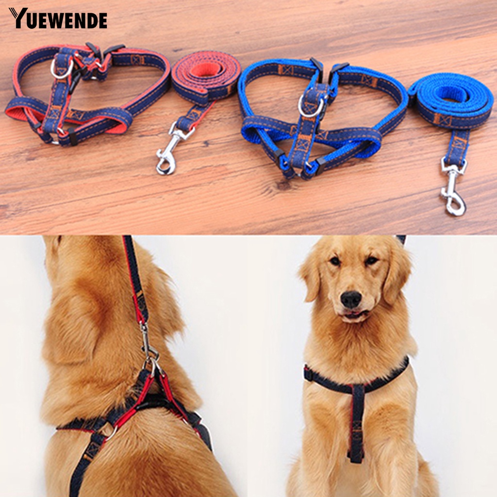 Dây buộc thú cưng kèm quai đeo cổ chó sóng