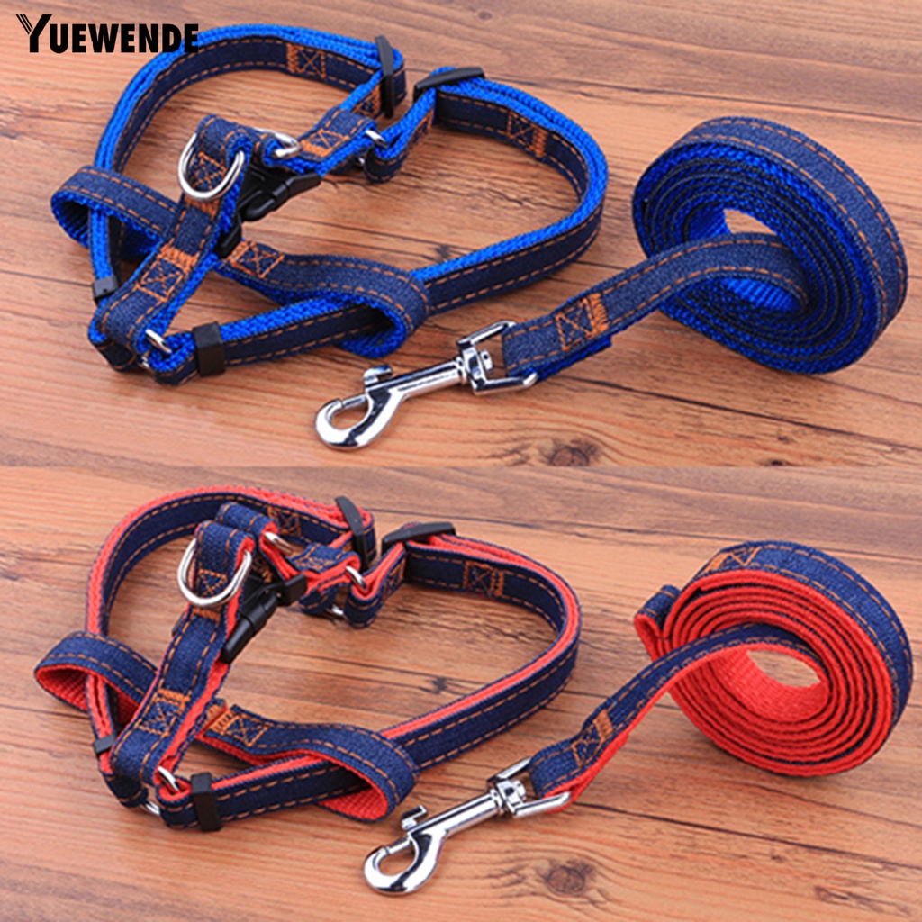 Dây buộc thú cưng kèm quai đeo cổ chó sóng