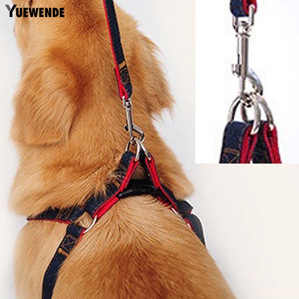 Dây buộc thú cưng kèm quai đeo cổ chó sóng