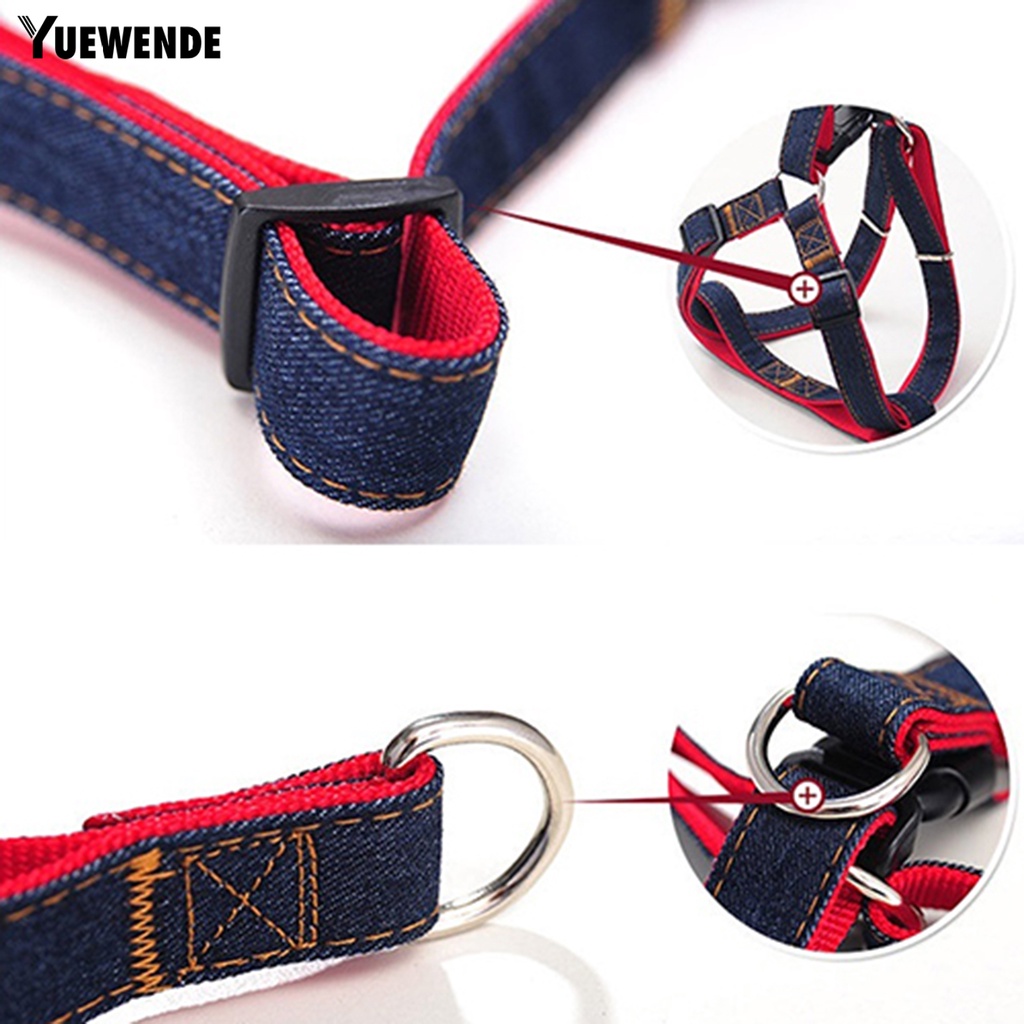 Dây buộc thú cưng kèm quai đeo cổ chó sóng