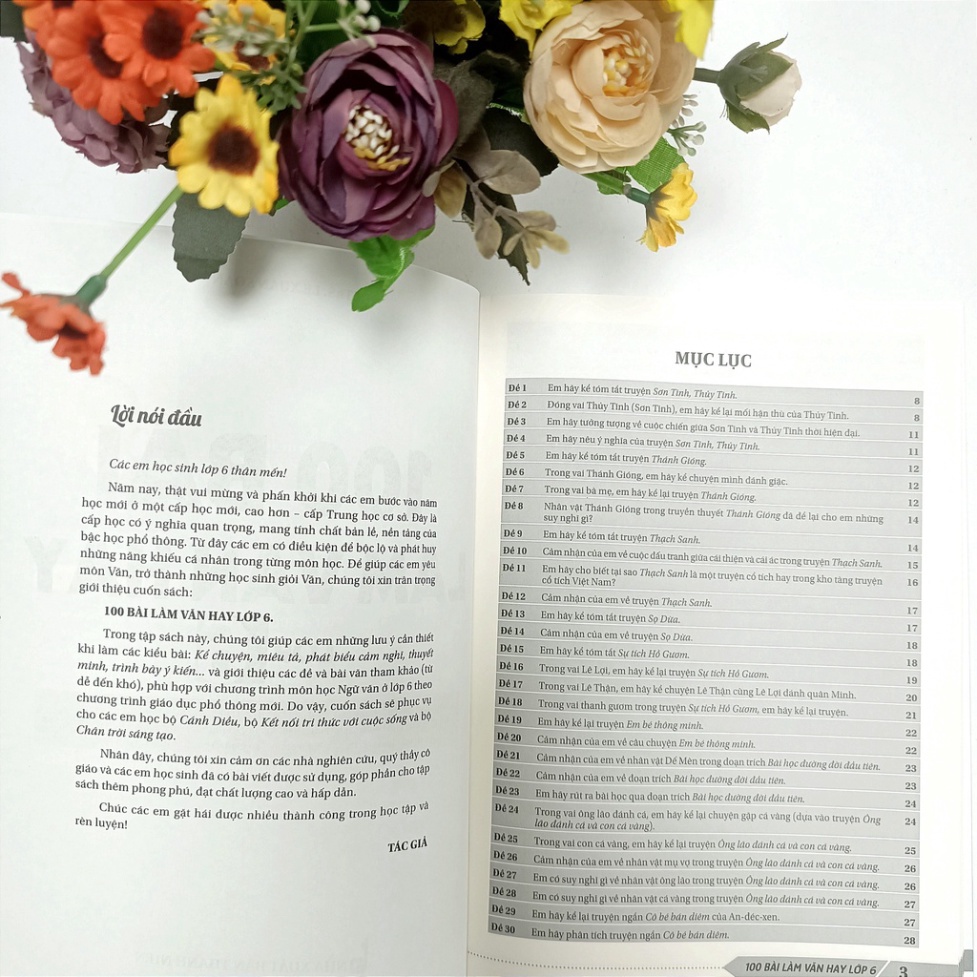 Sách 100 bài làm văn hay lớp 6 - ndbooks