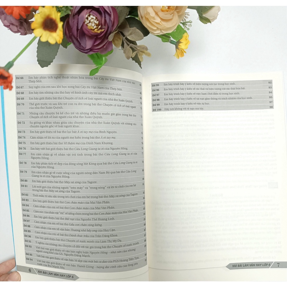 Sách 100 bài làm văn hay lớp 6 - ndbooks