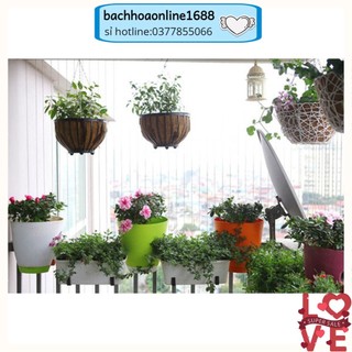 Chậu nhựa chuyên dụng treo ban công, giỏ trồng lan, trồng cây, hoa kích thước 20*17cm bền đẹp hàng công ty loại 1