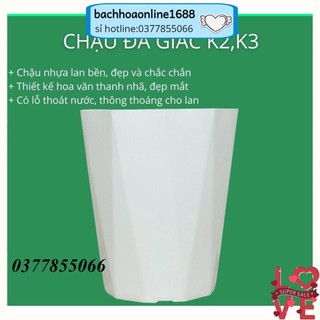 Chậu nhựa trồng cây màu trắng, dày dặn, chịu nắng mưa tốt, có in hoa văn đẹp mắt, trồng cây cảnh, cây hoa