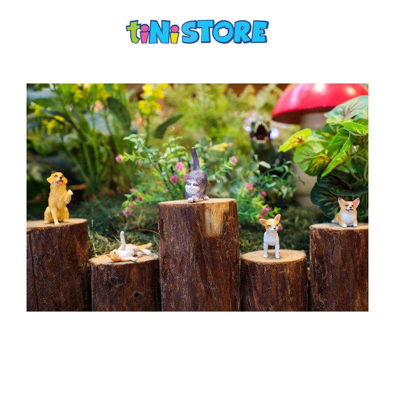 tiNiStore-Bộ đồ chơi 12 mô hình thú cưng Recur RH061