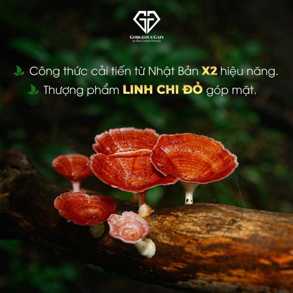 Viên Ăn Ngon GG 2X Hỗ Trợ Tăng Cân An Toàn Hiệu Quả Cho Người Cơ Địa Chai Lỳ Gầy Kinh Niên Và Trẻ Em Từ 6 Tuổi