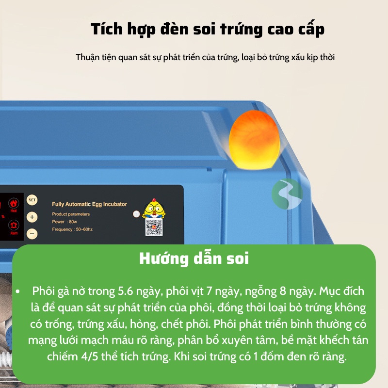 Máy ấp trứng gà thông minh thế hệ mới 220v & 12v