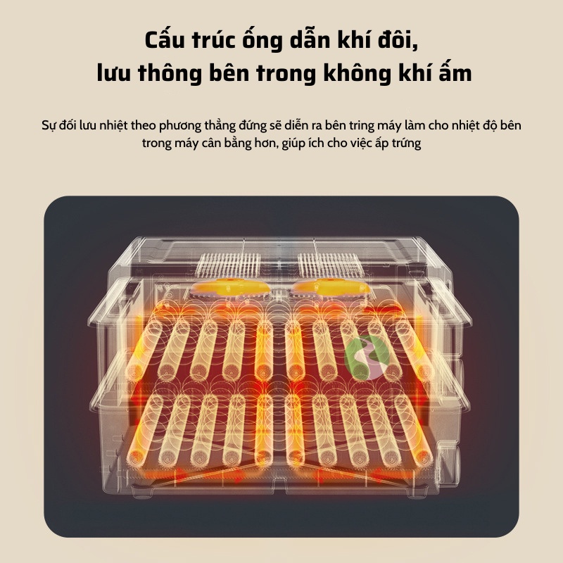 Máy ấp trứng gà thông minh thế hệ mới 220v & 12v
