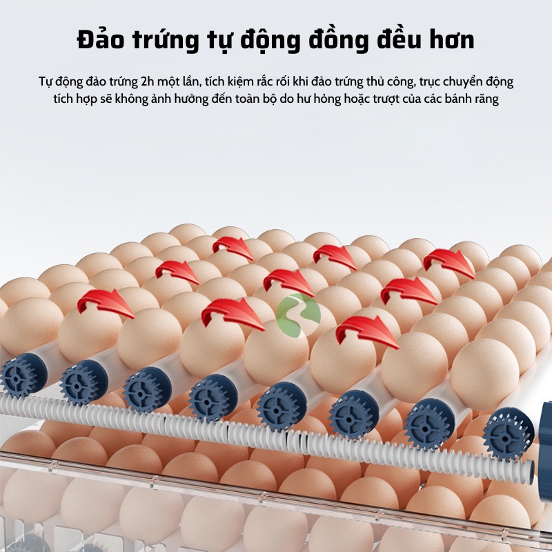 Máy ấp trứng gà thông minh thế hệ mới 220v & 12v