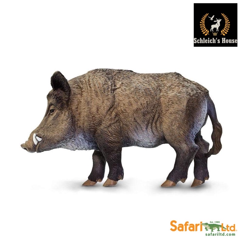 Mô hình động vật , đồ chơi con vật Safari Ltd chính hãng heo Lợn rừng Boar 224229 - Schleich House