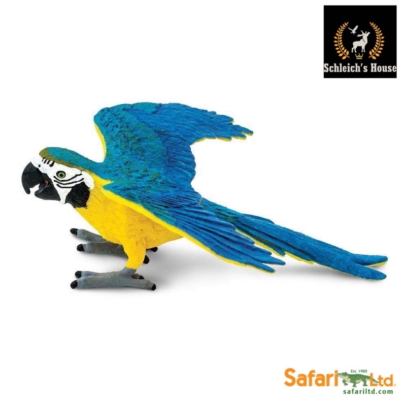Mô hình động vật , đồ chơi con vật Safari Ltd chính hãng chim Vẹt Macaw xanh vàng 264029 - Schleich House