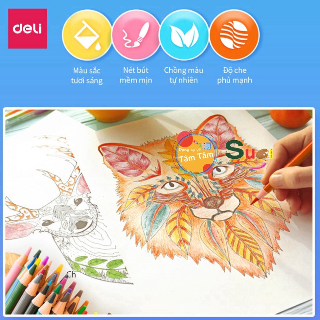 [ TÂM TÂM ] Bút chì màu gốc dầu cao cấp Deli gỗ tự nhiên 24/36/48/72 Màu thích hợp cho vẽ chuyên nghiệp, thiết kế