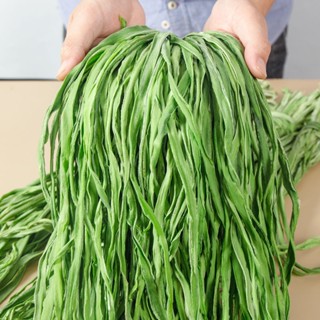  Rau Tiến Vua khô xanh non giòn 100gr ngọt món quà tuyệt vời từ thiên nhiên 