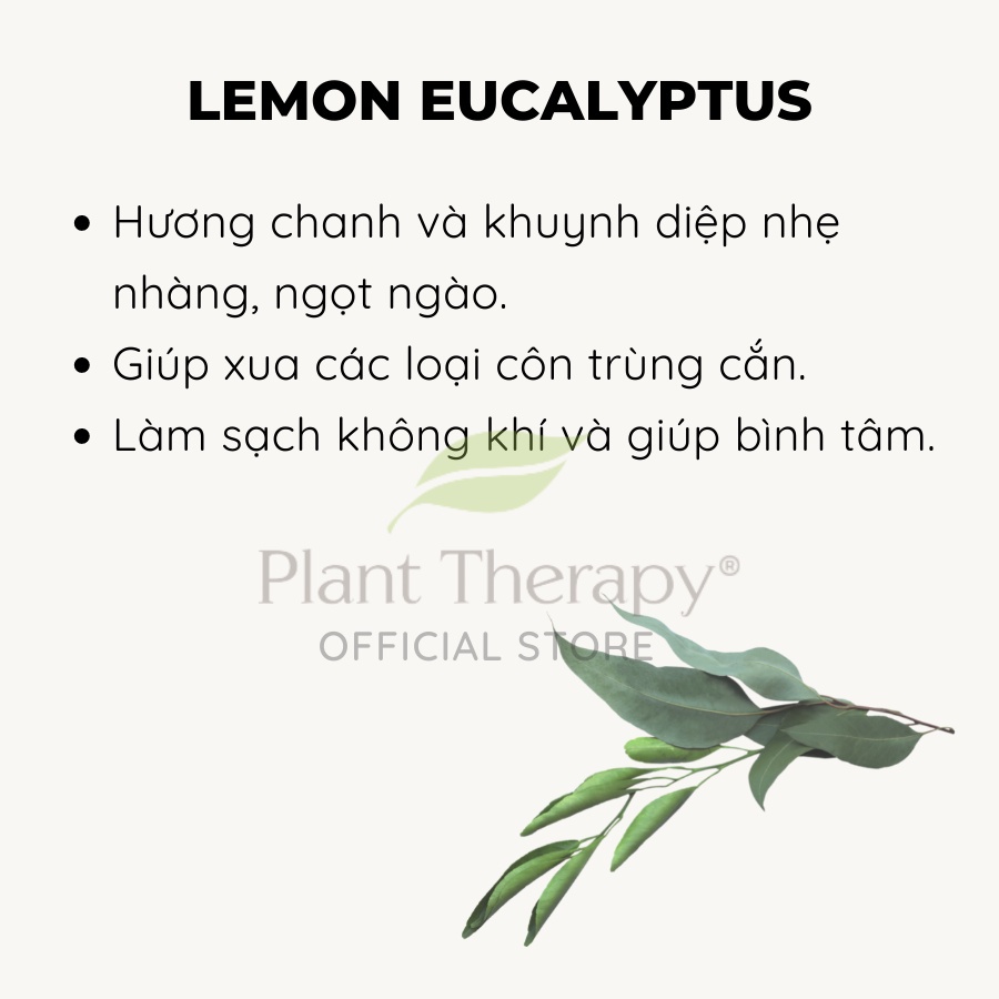 Tinh Dầu hữu cơ Bạch Đàn Chanh (Lemon Eucalyptus) Plant Therapy - Organic kidsafe essential oil 10mL, 30mL
