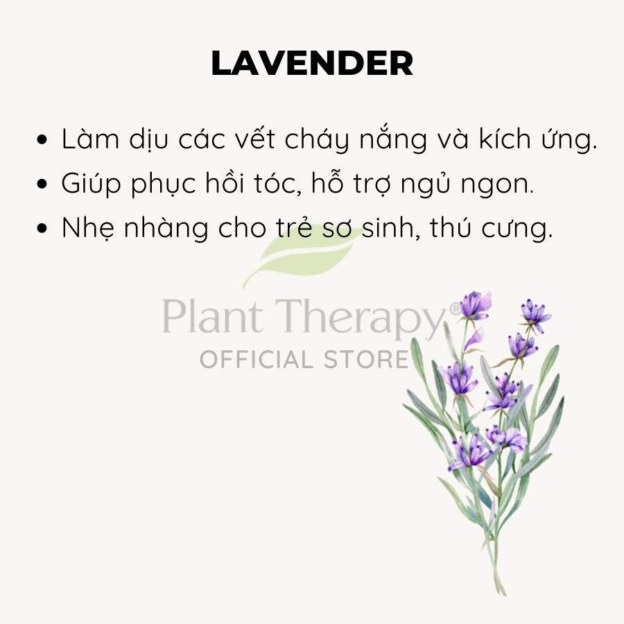 Tinh dầu hữu cơ Hoa Oải Hương (Lavender) Plant Therapy - Organic kidsafe essential oil 10mL, 30mL, 100mL