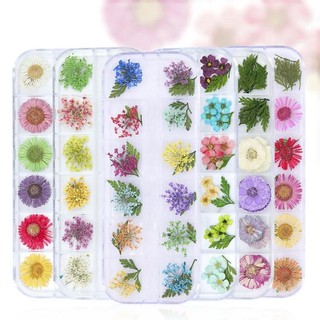 Set hoa khô chùm hoa lụa hoa cúc to đắp ẩn móng tay nail design trang trí ẩn gel