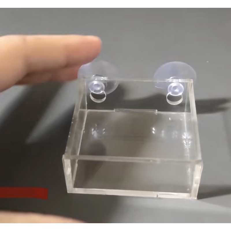 Chén Tép Thuỷ Tinh - Chén đựng thức ăn hình vuông cho cá tép cảnh 5x5x2.5cm