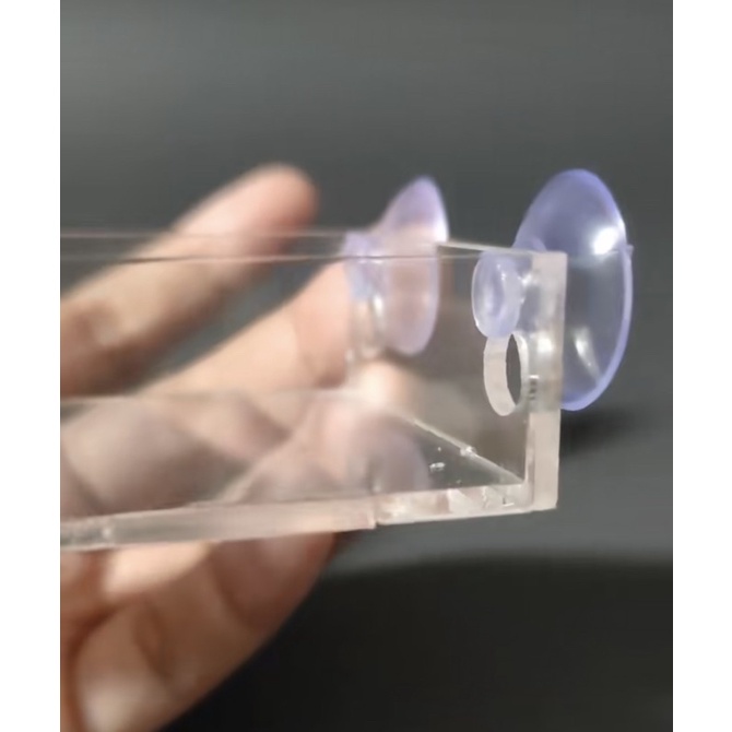 Chén Tép Thuỷ Tinh - Chén đựng thức ăn hình vuông cho cá tép cảnh 5x5x2.5cm