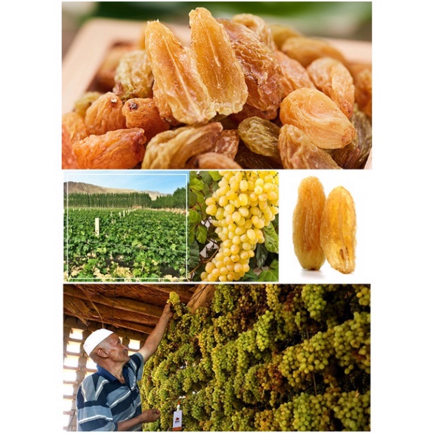 500Gram Nho Khô Vàng Ấn Độ Dẻo Ngọt Thơm Ngon