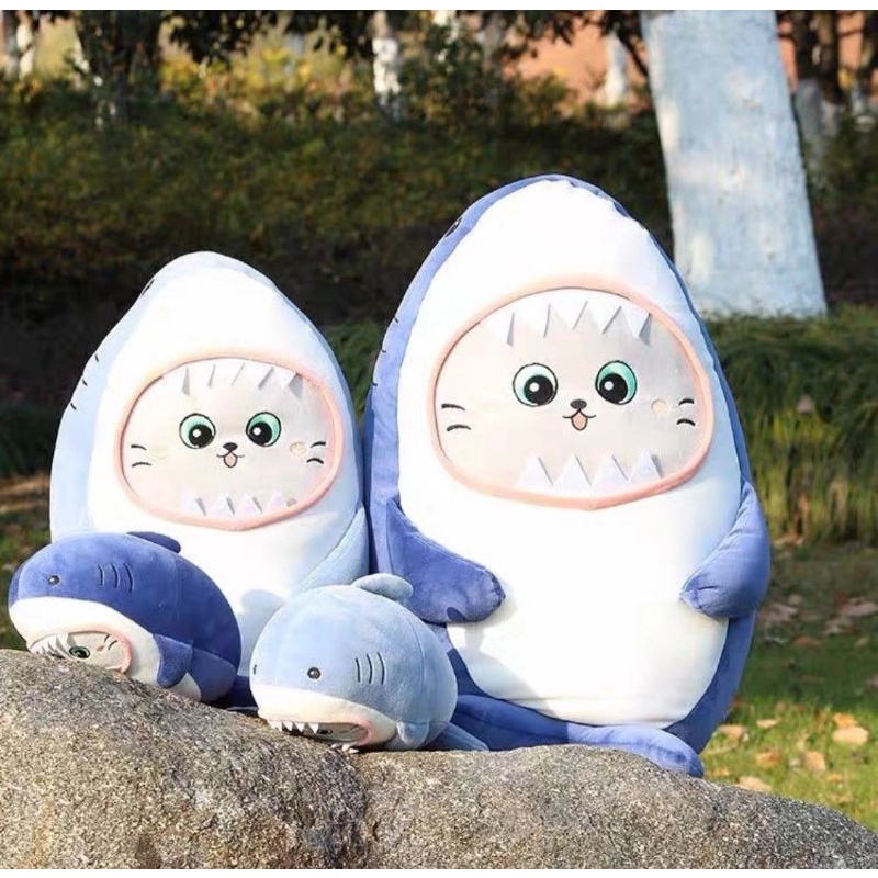 Cá Mặp 🦈  Mặt Mèo 🐱 Mesa🌈