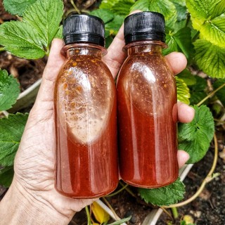 Chai 100ml sốt tắc chấm + trộn bánh tráng+ chấm hải sản