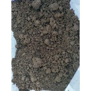 1kg phân Trùn quế nguyên chất từ trại