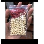 100 hạt dâu tằm