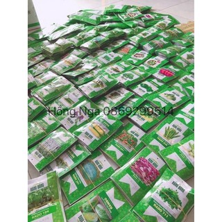 5gram Hạt giống bắp ngọt trồng quanh năm