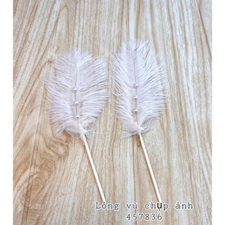 lông vũ chụp ảnh mẫu móng , nail