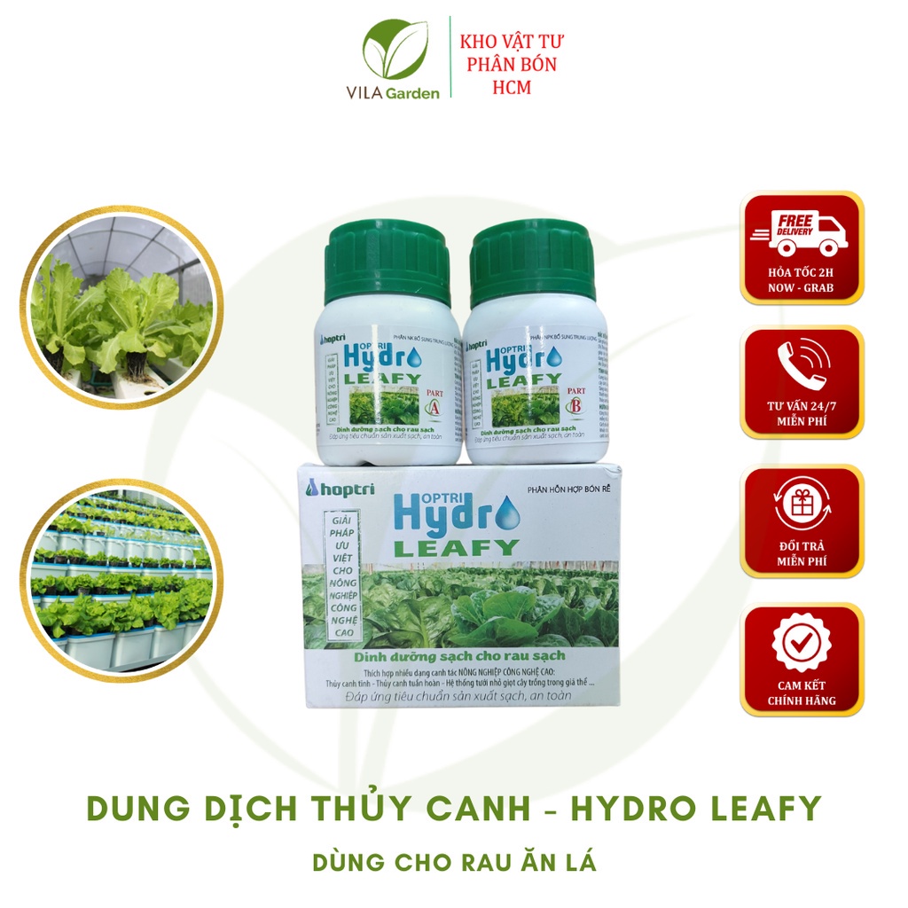 Dinh dưỡng Rau Ăn Lá Hydro Leafy (A+B) 200gr