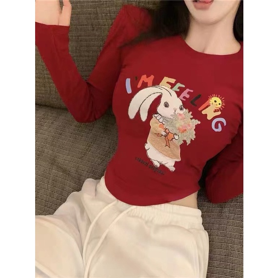 Áo Thun Lửng Tay Dài In Họa Tiết Thời Trang Quyến Rũ Cho Nữ