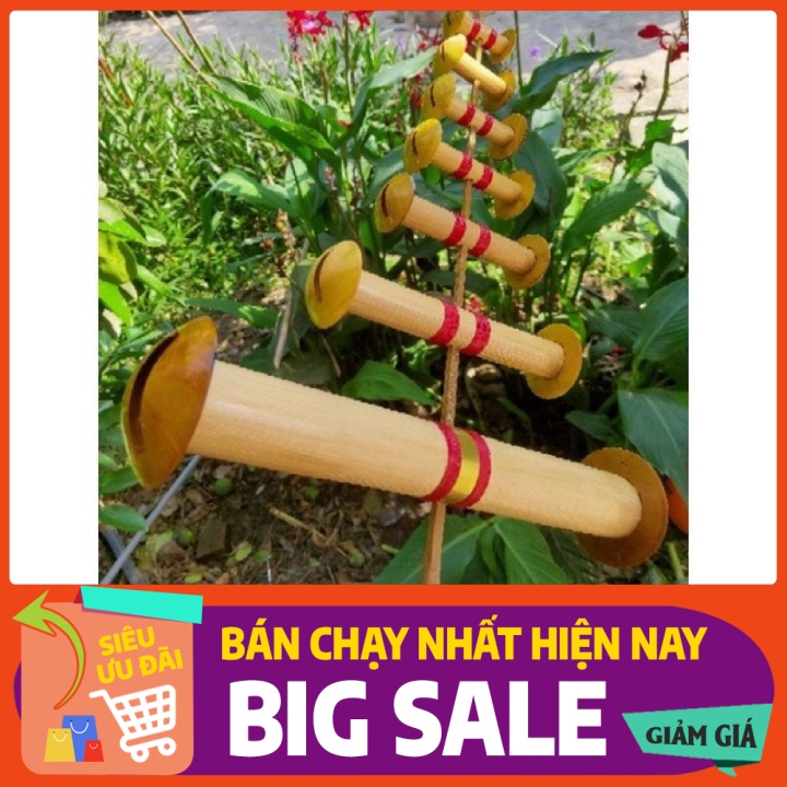 Sale sốc sáo còi d30-35 âm bao gắt sieure