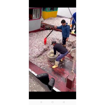 Nước mắm chắt truyền thống Ninh Cơ chai 1lít. Độ đạm >=25mg/l. Mắm Hải Hậu, Nam Định mamnguyendam