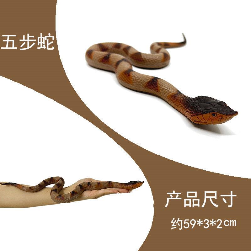 Đồ Chơi Mô Hình Con Rắn / Nhện / Thằn Lằn Bằng Cao Su Mềm Dành Cho Bé Trai
