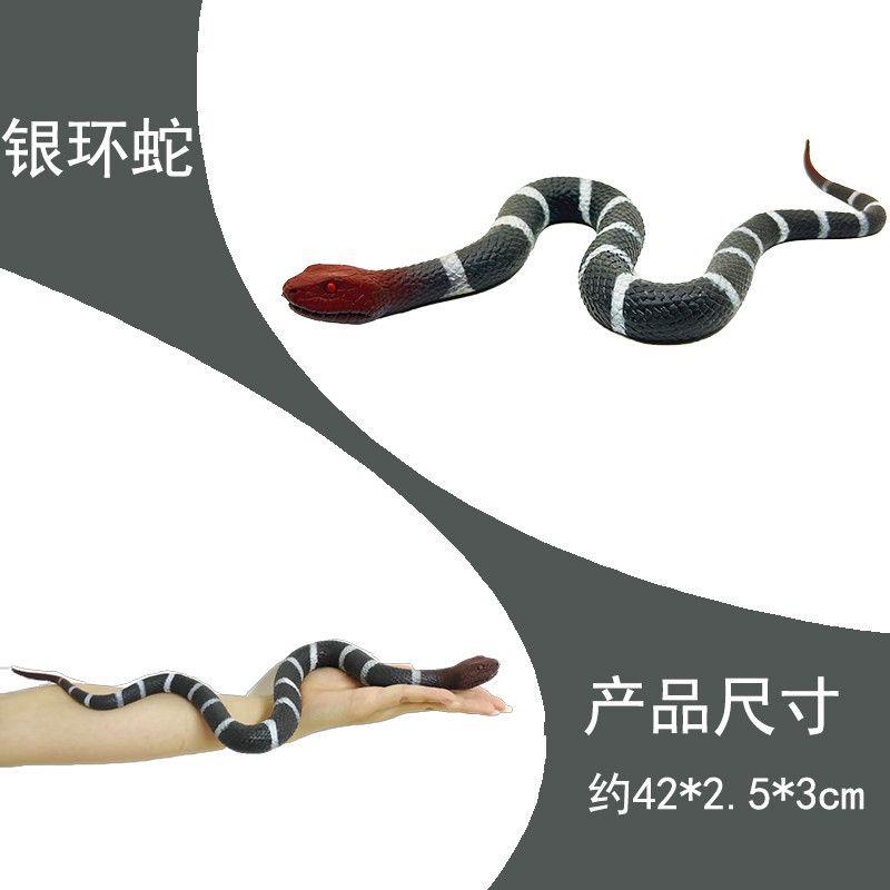 Đồ Chơi Mô Hình Con Rắn / Nhện / Thằn Lằn Bằng Cao Su Mềm Dành Cho Bé Trai
