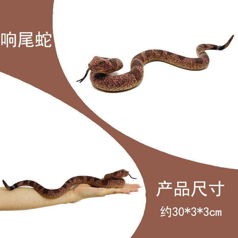 Đồ Chơi Mô Hình Con Rắn / Nhện / Thằn Lằn Bằng Cao Su Mềm Dành Cho Bé Trai