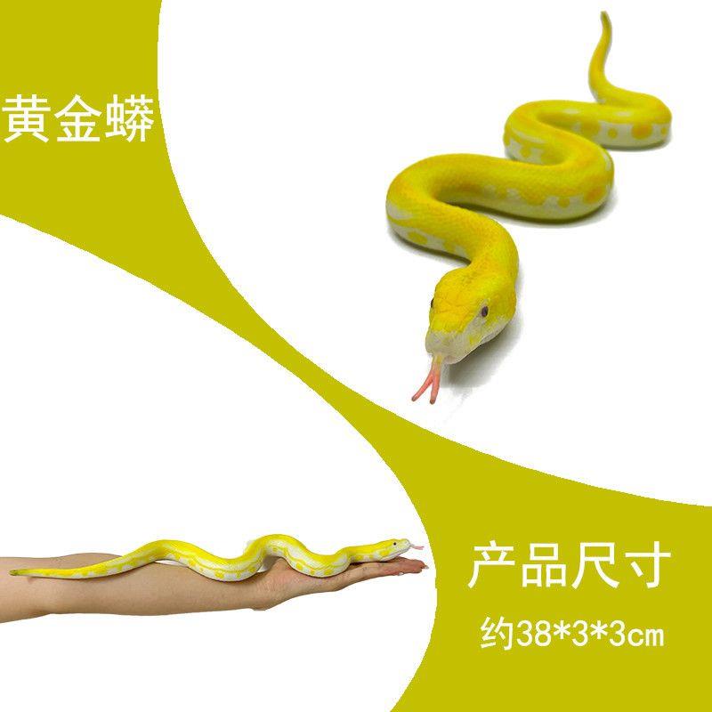 Đồ Chơi Mô Hình Con Rắn / Nhện / Thằn Lằn Bằng Cao Su Mềm Dành Cho Bé Trai