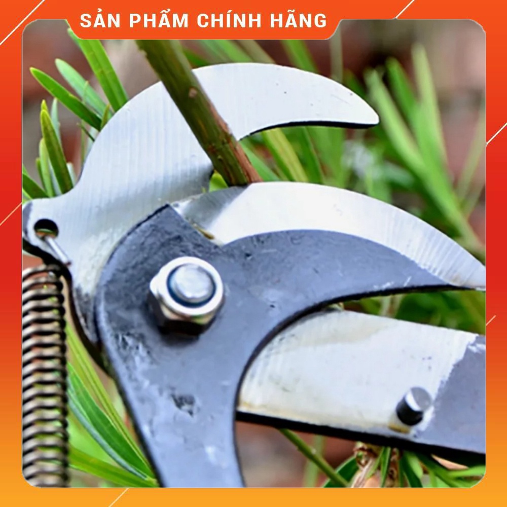 ĐẦU KÉO HÁI HOA QUẢ, KÉO CẮT CÀNH TRÊN CAO GIÁ RẺ
