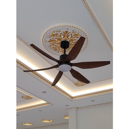 Quạt trần trang trí có đèn led, 6 cánh, Động cơ DC siêu êm, siêu mát