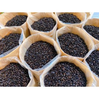 Cà phê hạt rang mộc nguyên chất 100%  Robusta BMT