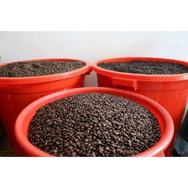Cà phê hạt rang mộc Robusta