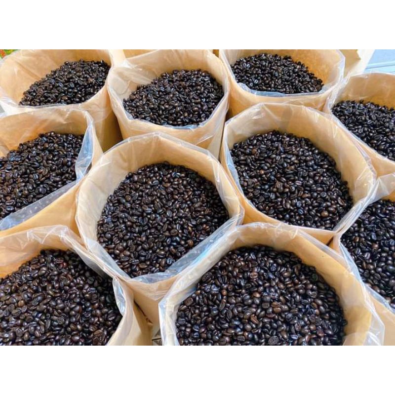 Cà phê hạt rang mộc Robusta