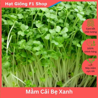 Hạt giống rau mầm cải bẹ xanh