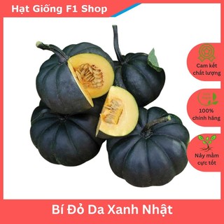 Hạt Giống Bí Đỏ Tròn Lai F1 Đặc Ruột Dẻo Ngon